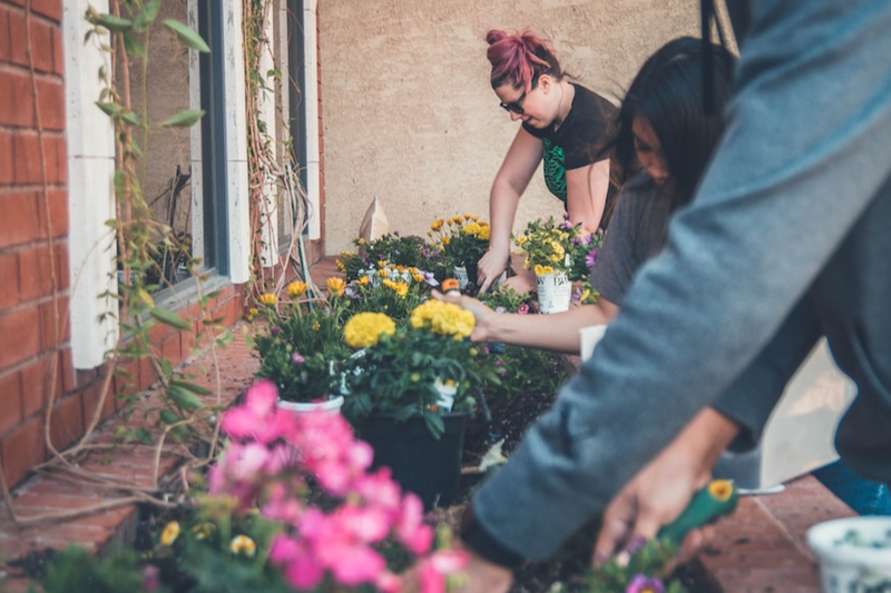 A group of young people planting flowers in a community garden.