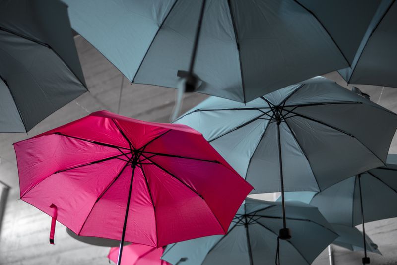 A pink umbrella standing out amongst a group of grey umbrellas.