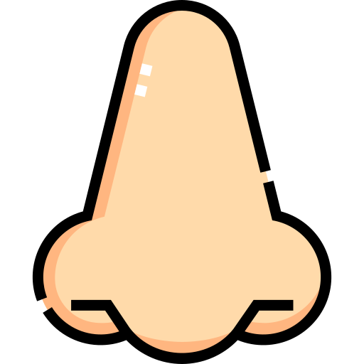 Flaticon Icon