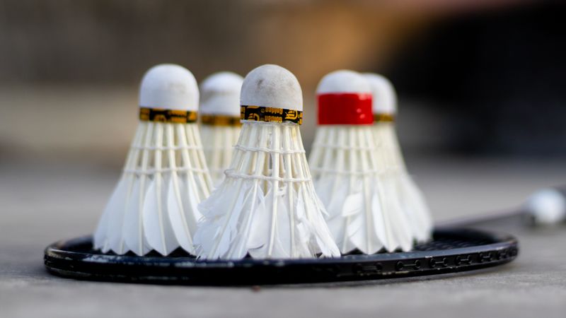 Shuttlecocks resting on a badminton racquet