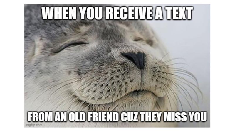 Happy seal with text that reads, 'When you recieve a text from an old friend cuz they miss you.'