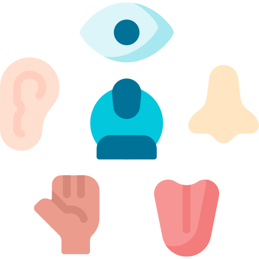 The five senses: eyesight, nose, tongue, touch and hearing