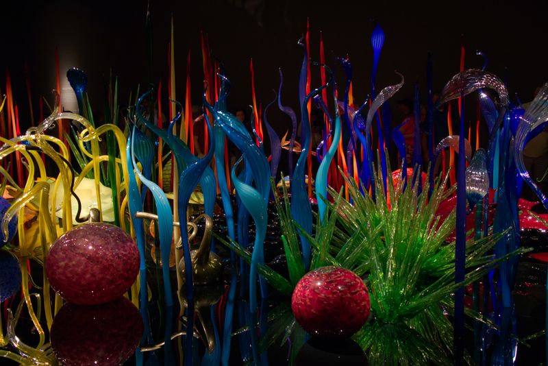 A display of glass-blown art