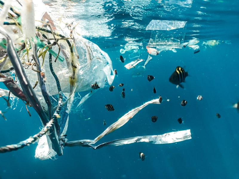 Image of plastic garbage floating in the ocean