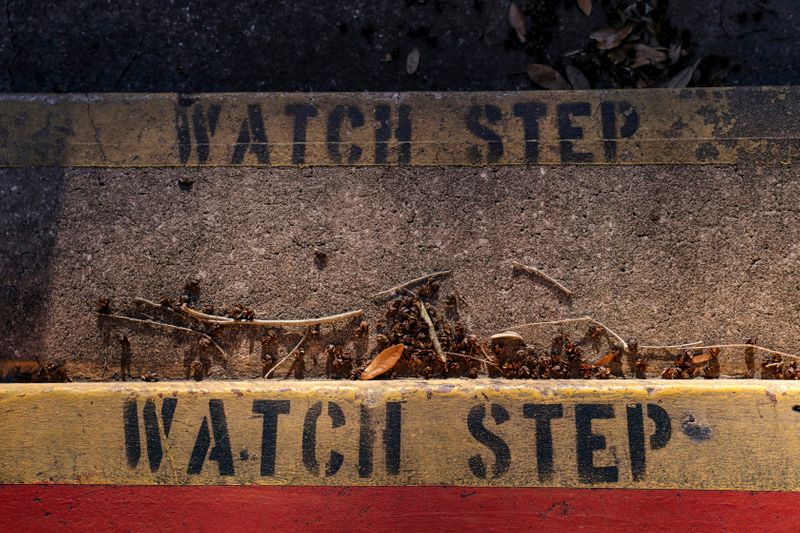 The words 'watch step' painted on concrete steps.