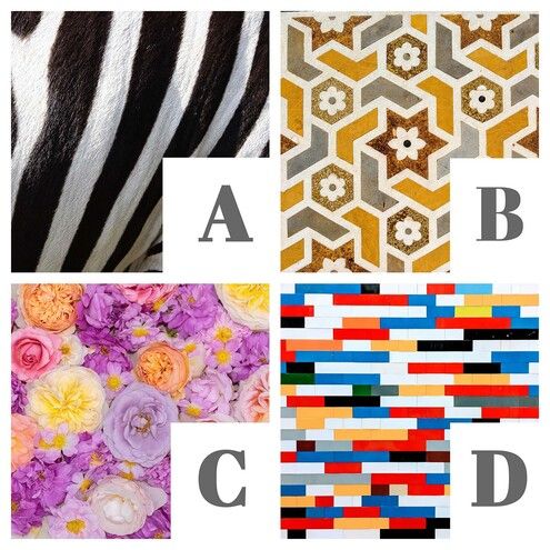 A: black & white; B: yellow, brown & grey; C: purple, yellow & pink; D: red, orange, blue, and black