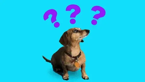 A dog with three question marks above its head