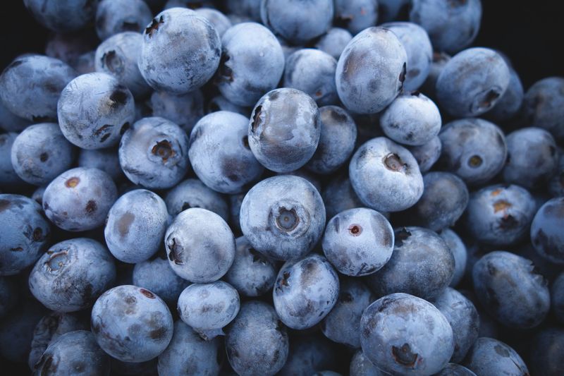 A group of fresh, round blueberries.