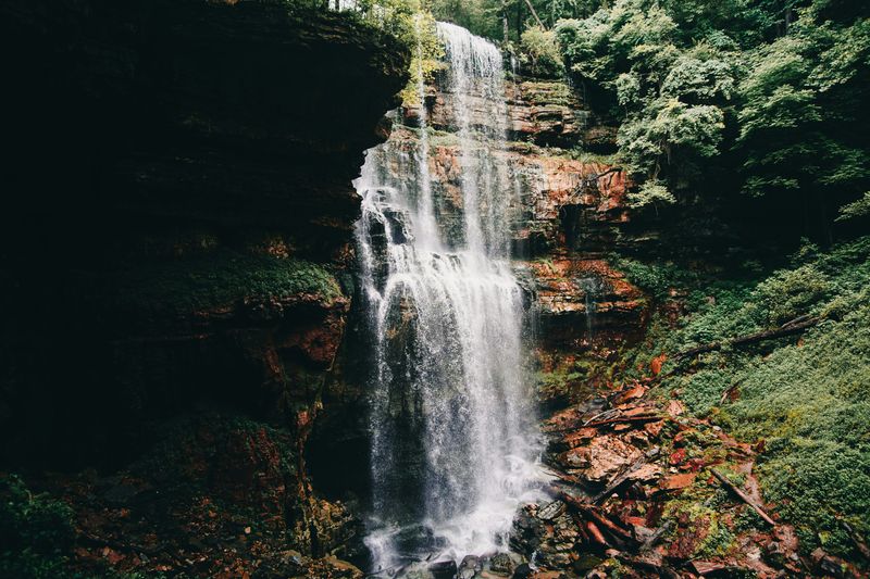 A rainforest waterfall.