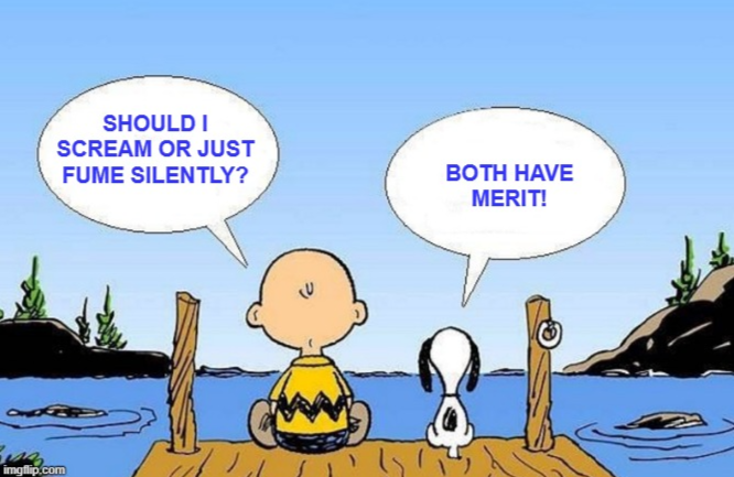 Charlie Brown asks, 