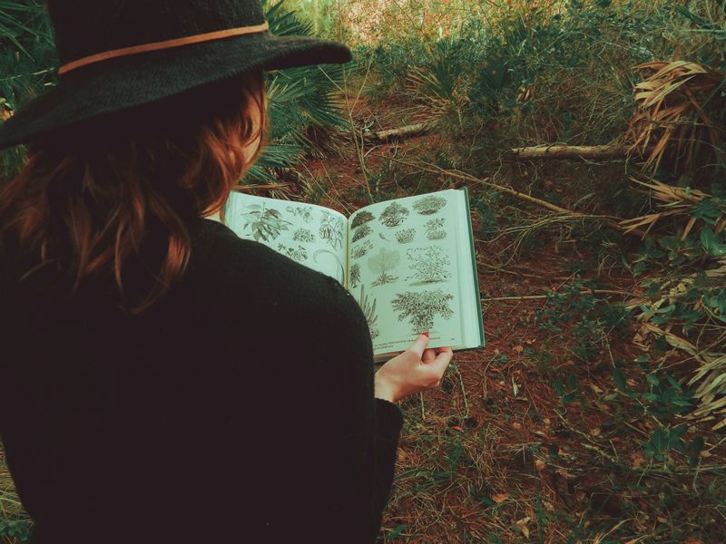 A woman in a garden reading a book on botany.