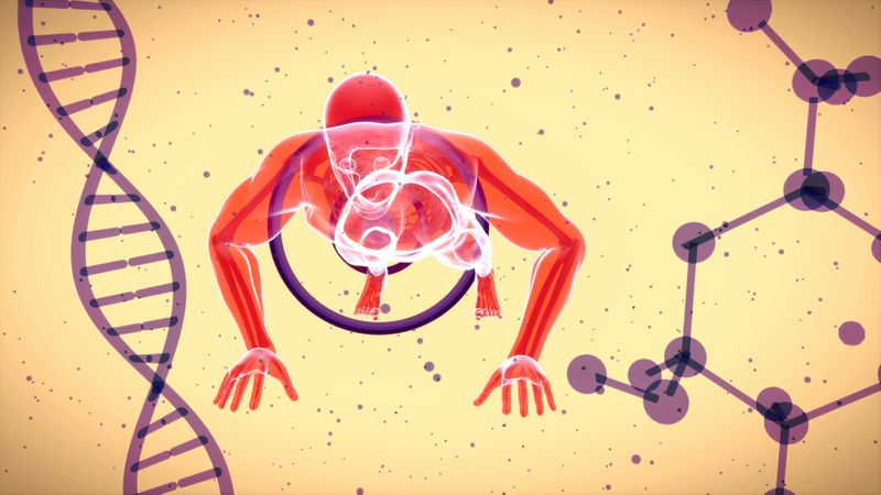 An illustration of a DNA strand beside a person doing a push-up.