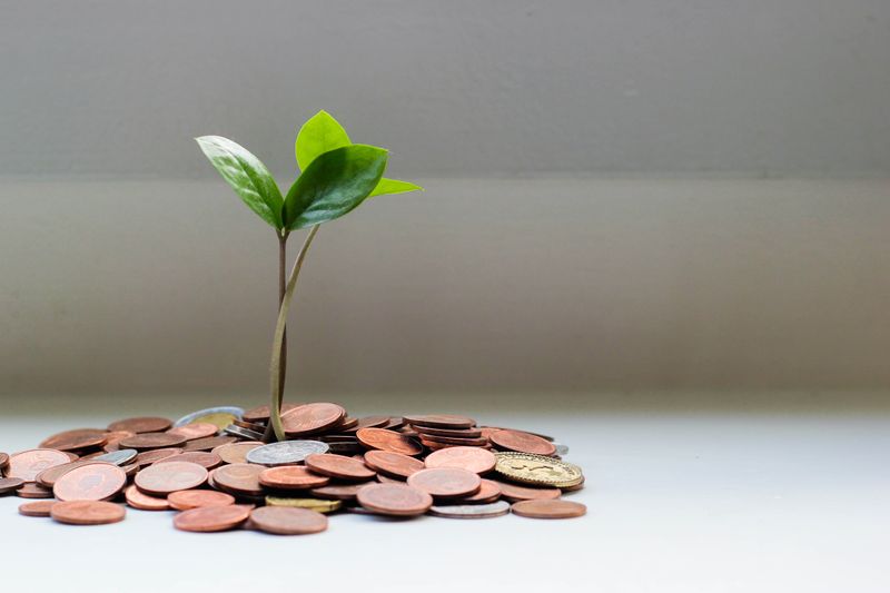 A small plant growing out from a pile of coins.