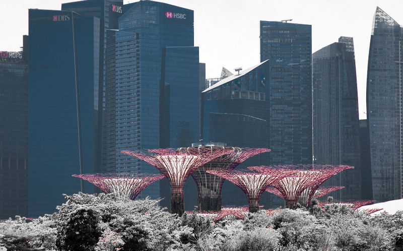 The Gardens by the Bay in Singapore with 'supertree' structures rising above the tree line in front of skyscrapers.