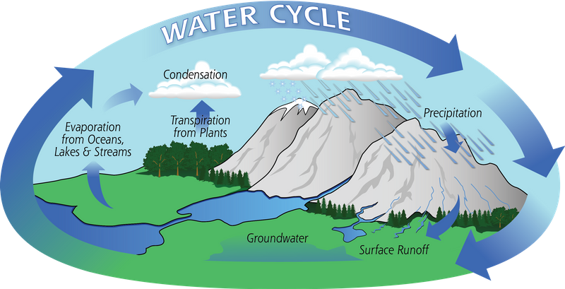 A graphic of the water cycle showing land, ocean, mountains, and rain. 