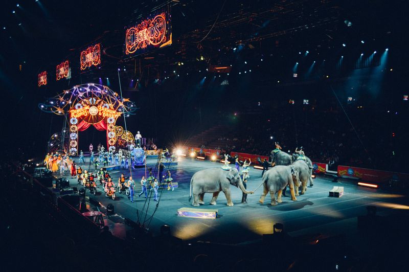 circus stage with performers and elephants