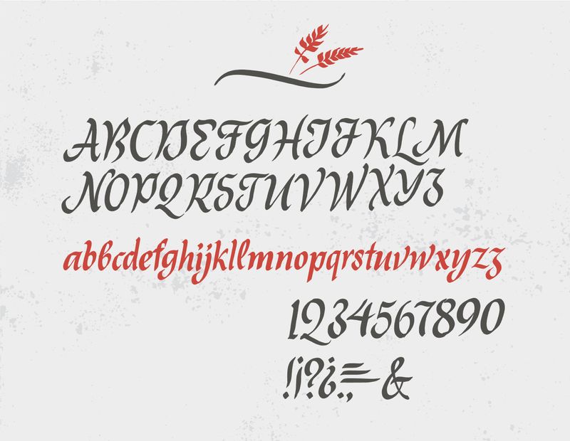 Alphabet, numerals, and symbols in Italic calligraphy.