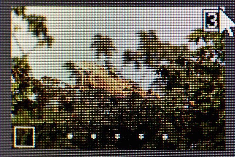 A pixelated photo of greenery on a photo editing program.