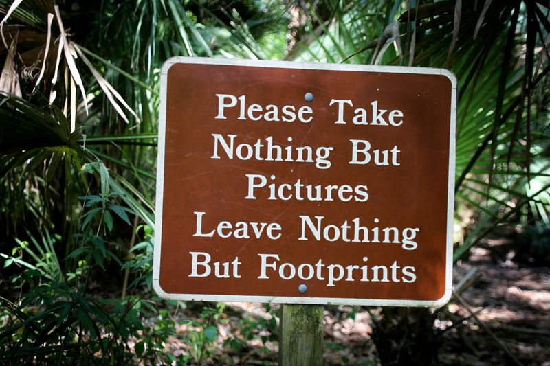 A sign in a forest that reads, 