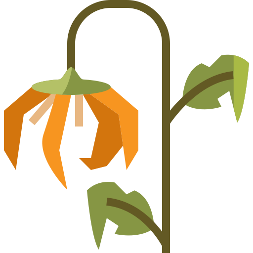 Flaticon Icon