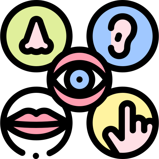 5 senses icon