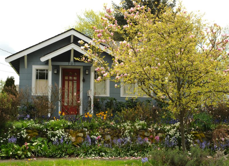 Cottage garden in with tree leafing out and in bloom, and a variety of garden flowers in bloom.