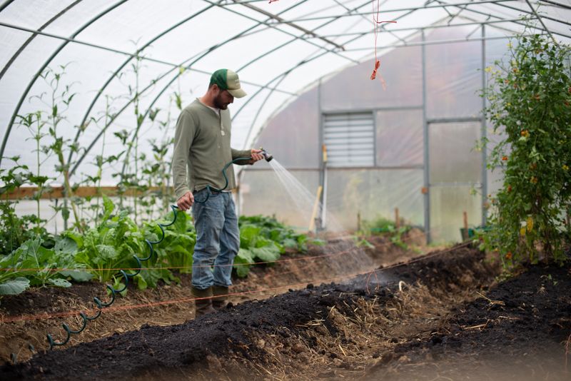 A horticulturist watering soil in a greenhouse.
