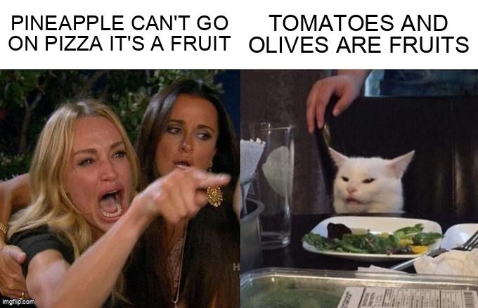 A woman and a cat have an argument about putting pineapple on pizza.