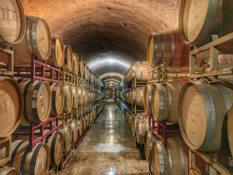 Wine barrels in a long wine cellar.