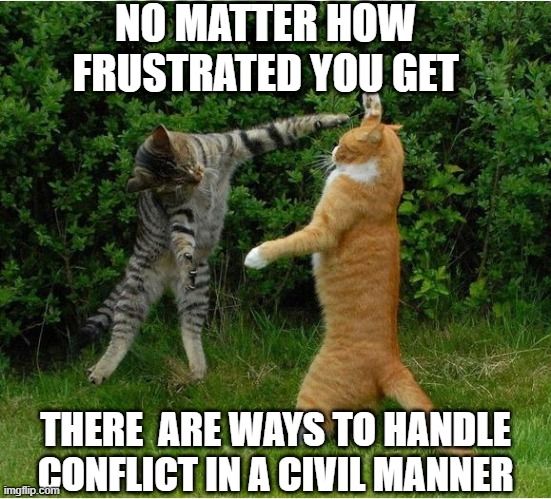 Two cats fighting. The text reads, 'No matter how frustrated you get, there are ways to handle conflict in a civil manner.'