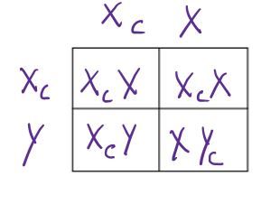 Punnet Square D clockwise from top left: XcX, XcX, XYc, XcY