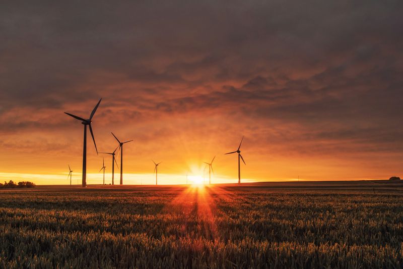 Sunset and wind turbines in a field