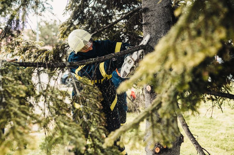 Man cutting tree branch using chainsaw