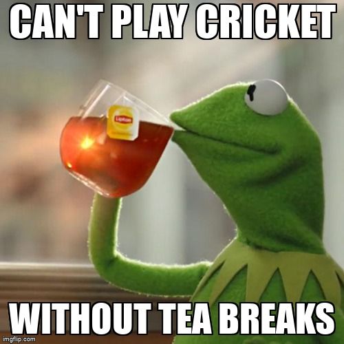 Kermit the Frog drinking tea, over the text 'can't play cricket without tea breaks'