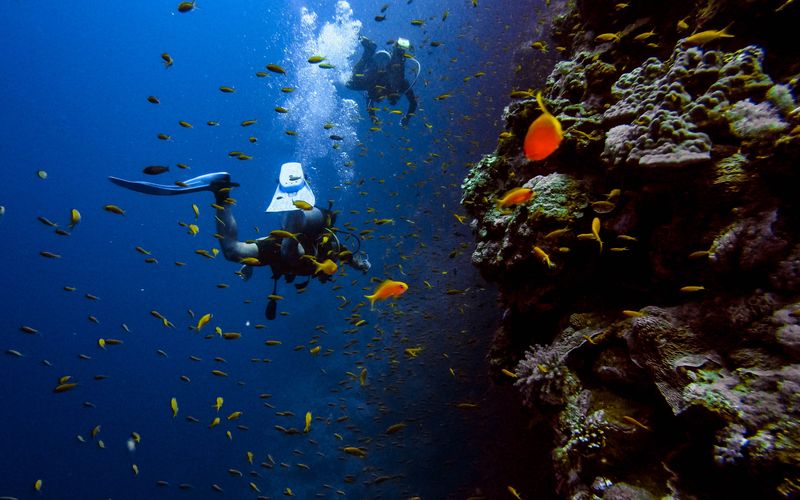 Two scuba divers near a reef