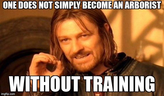 Boromir from Lord of the Rings saying, 'One does not simply become an arborist without training'