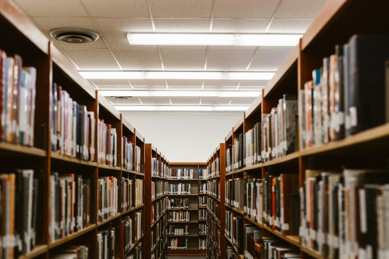 A library's shelves filled with books. 