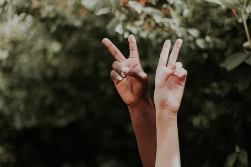 A photo of two hands (one black and one white) forming a peace sign