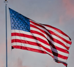The American flag  