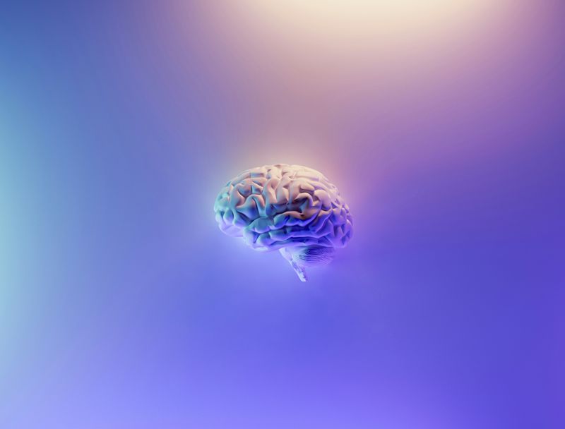 A luminescent lateral view of a brain.
