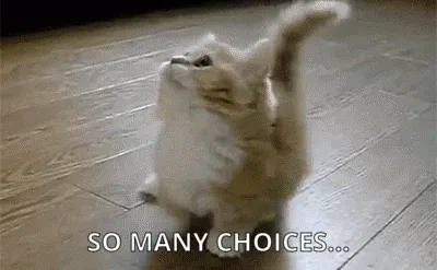 Kitten looking around with text saying 'So Many Choices...'.