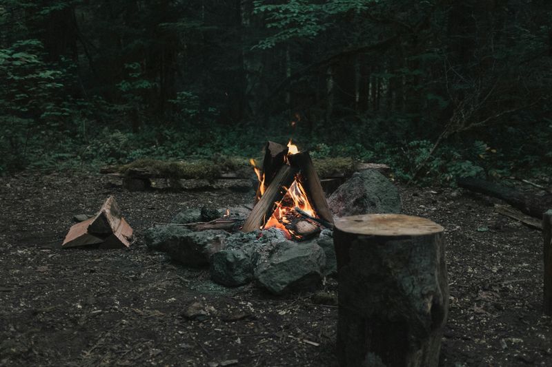 A campfire in the woods.