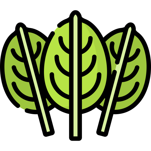Flaticon Icon
