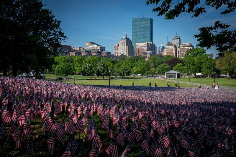 field covered in small american flags