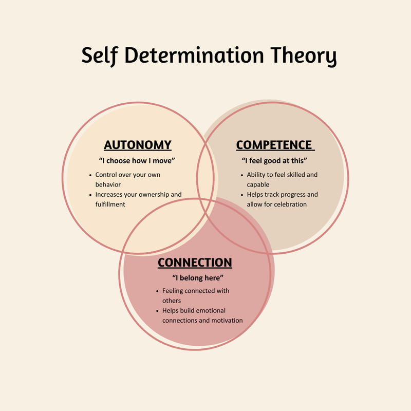 A Venn Diagram explaining the 3 psychological needs of self-determination theory: autonomy, competence, and connection.