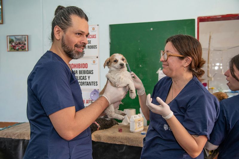 One vet is holding the puppy, the other is about to give it a shot