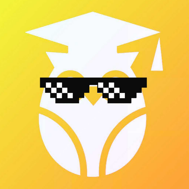 Rumie's owl logo with sunglasses