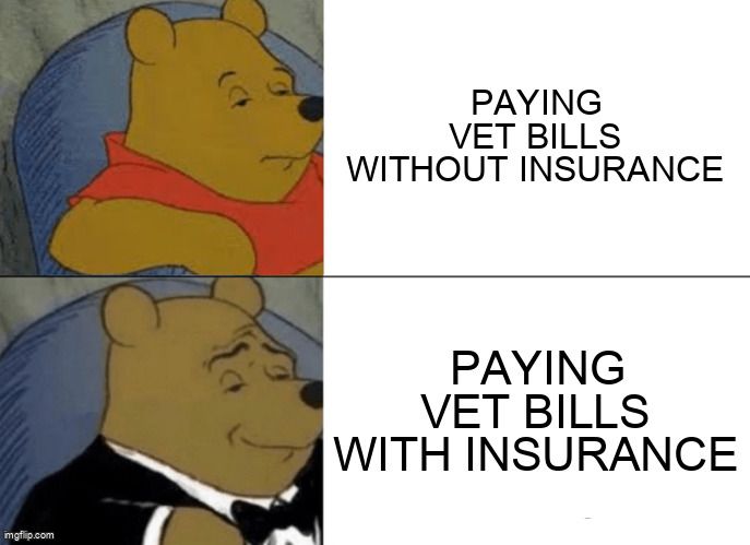 A meme about how it's better to pay vet bills with insurance.