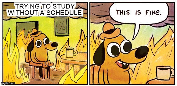 A dog sits in a burning house. The text reads: "Trying to study without a schedule. This is fine."