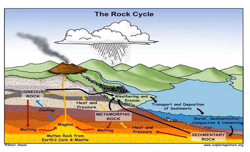 Labeled Diagram shows the rock cycle formation & identifies the 3 main types of rocks - Igneous, Sedimentary & Metamorphic